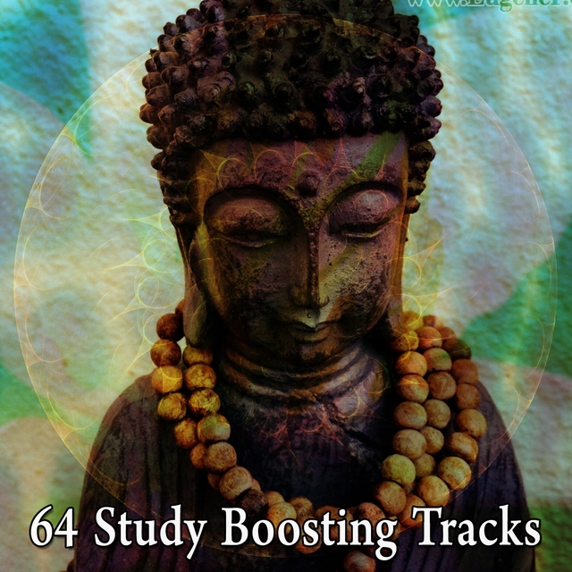 64 Study Boosting Tracks