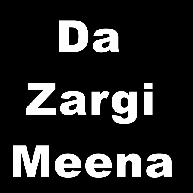 Da Zargi Meena