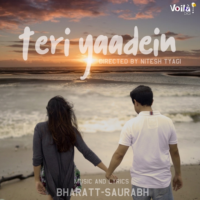 Couverture de Teri Yaadein