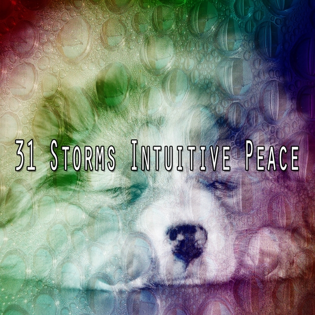 Couverture de 31 Storms Intuitive Peace