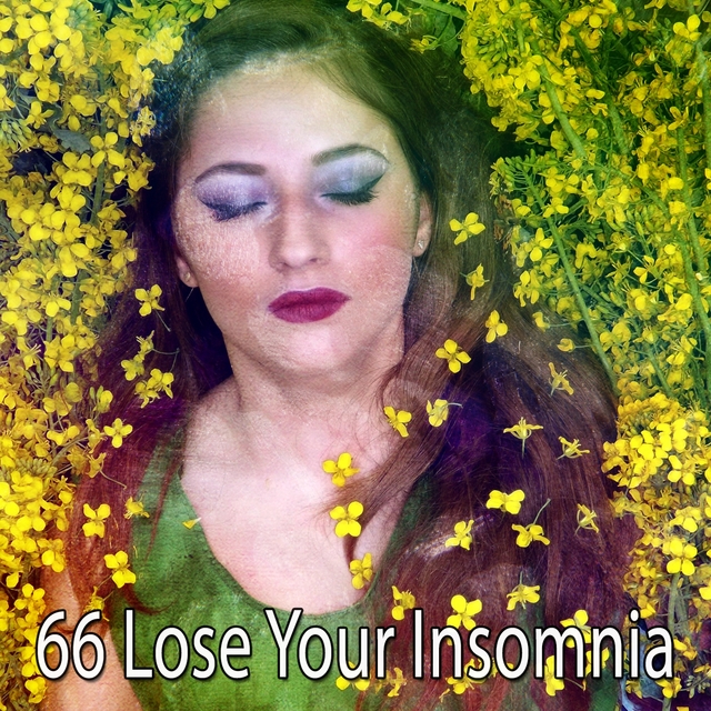 66 Lose Your Insomnia