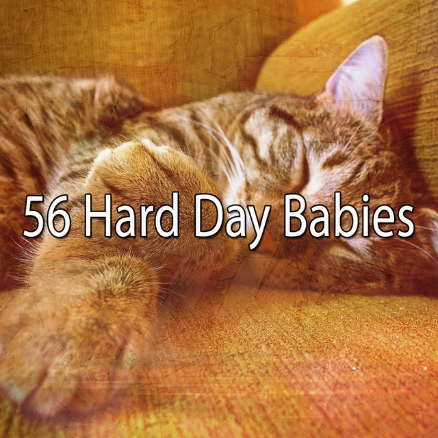 56 Hard Day Babies