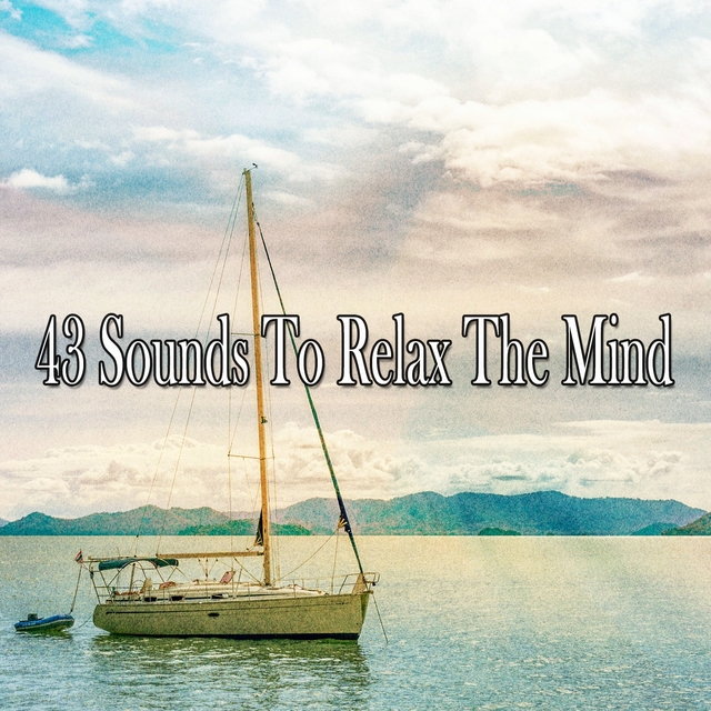 Couverture de 43 Sounds to Relax the Mind