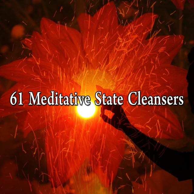 61 Meditative State Cleansers
