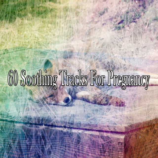 60 Soothing Tracks for Pregnancy