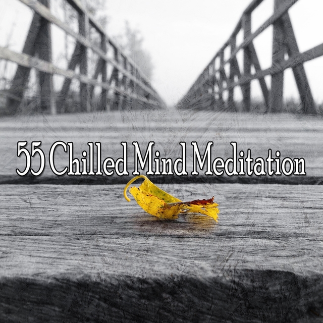 55 Chilled Mind Meditation