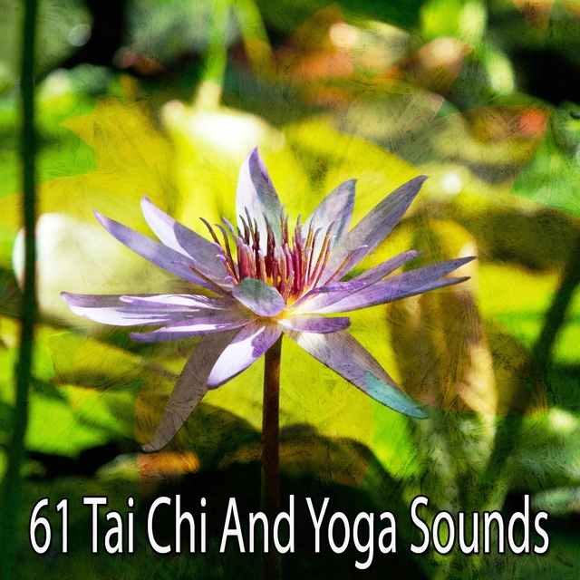 61 Tai Chi and Yoga Sounds