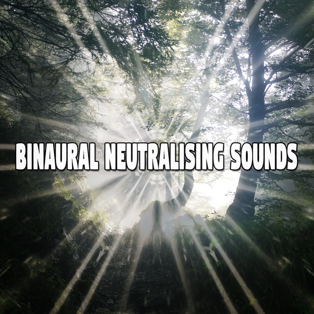 Binaural Neutralising Sounds