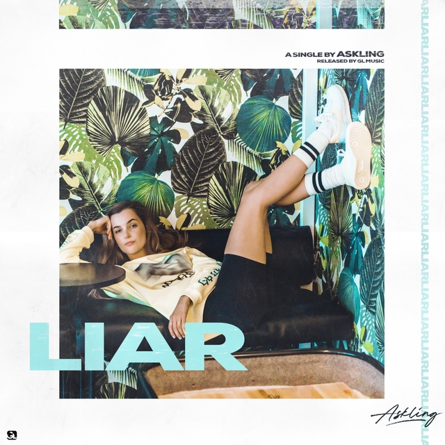 Couverture de Liar