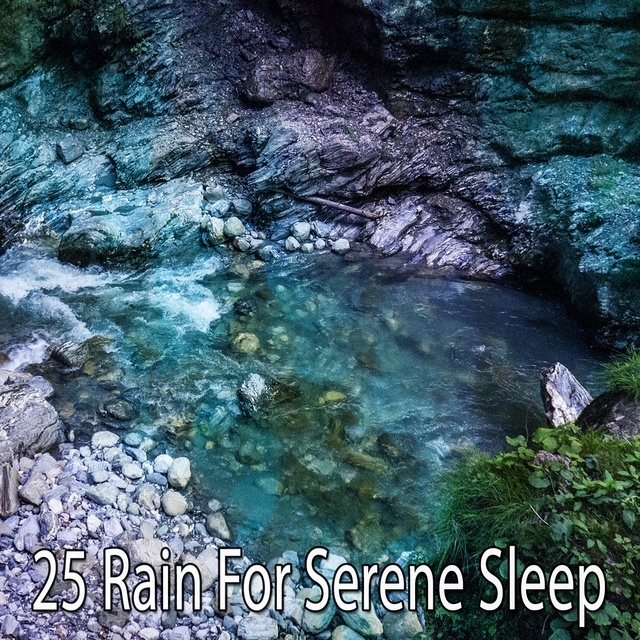 25 Rain for Serene Sleep