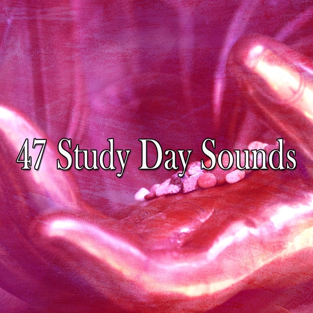 47 Study Day Sounds