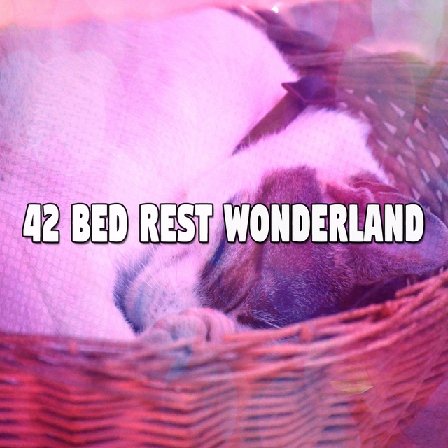 42 Bed Rest Wonderland