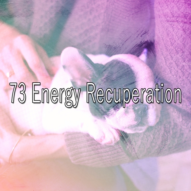 Couverture de 73 Energy Recuperation