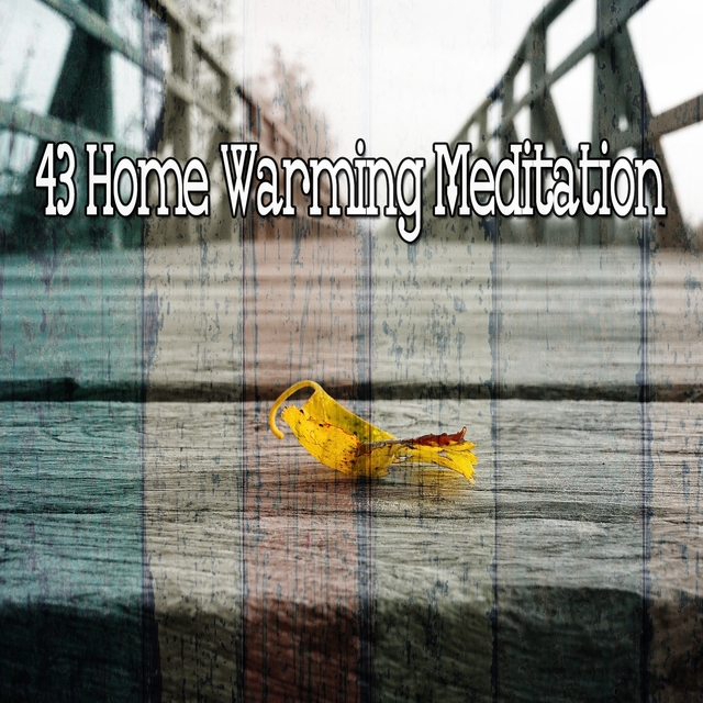 Couverture de 43 Home Warming Meditation