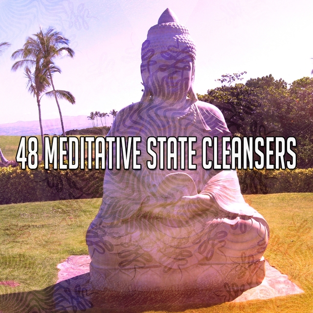 Couverture de 48 Meditative State Cleansers