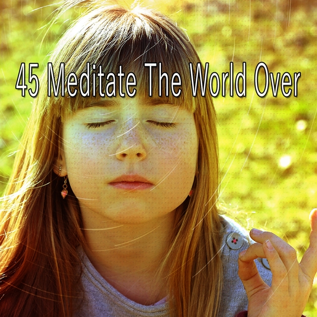 Couverture de 45 Meditate the World Over