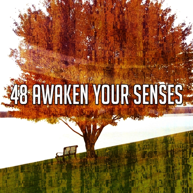 Couverture de 48 Awaken Your Senses