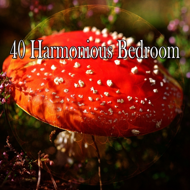 Couverture de 40 Harmonious Bedroom