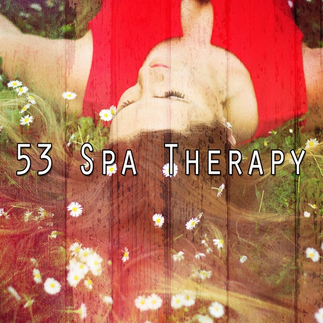 Couverture de 53 Spa Therapy