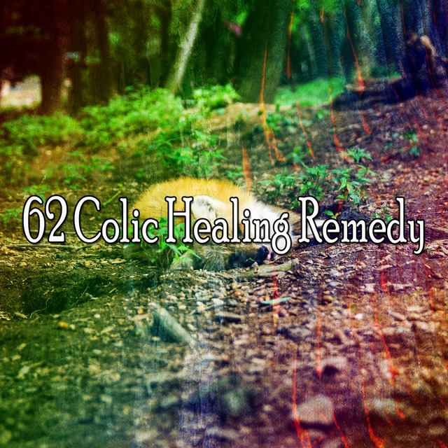 62 Colic Healing Remedy