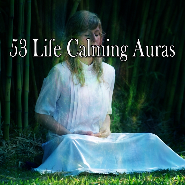 Couverture de 53 Life Calming Auras