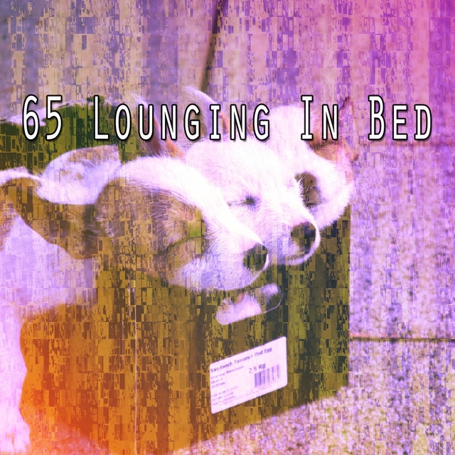 65 Lounging in Bed