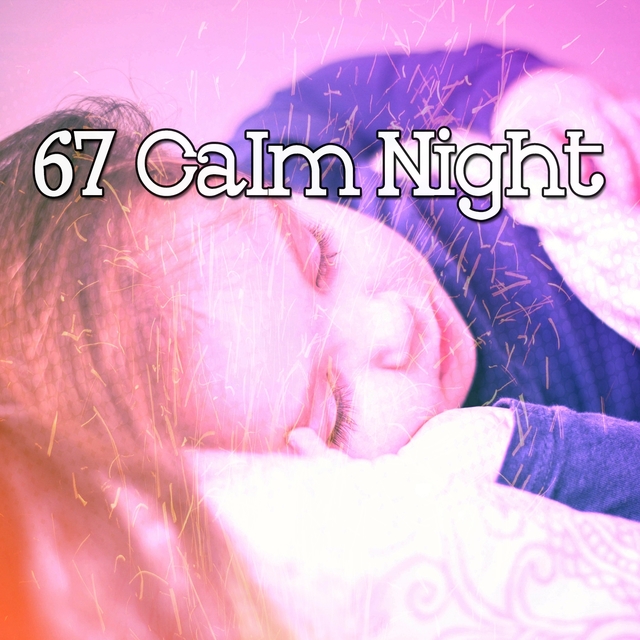 67 Calm Night