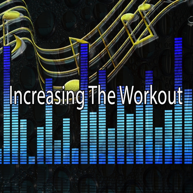 Couverture de Increasing the Workout