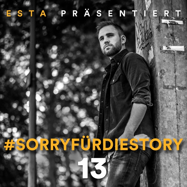 SorryfürdieStory 13