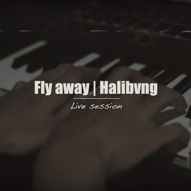 Couverture de Fly Away