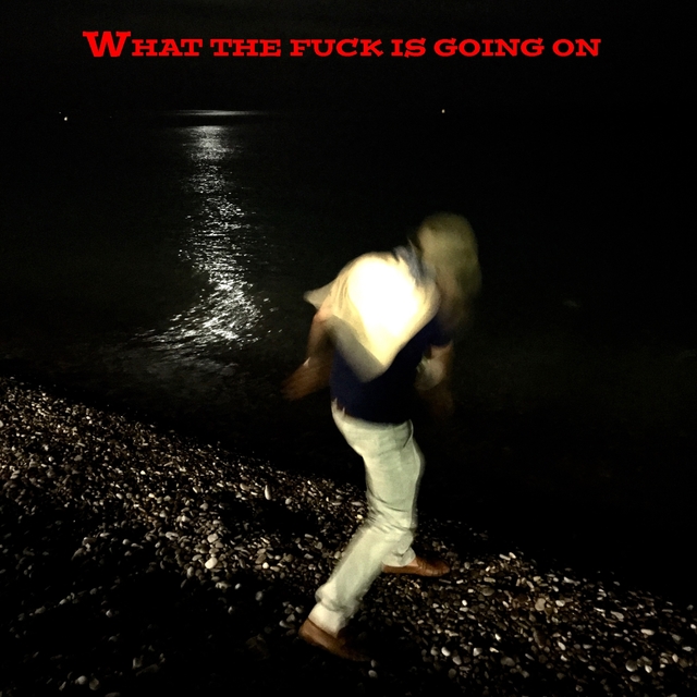 Couverture de What the Fuck Is Going On