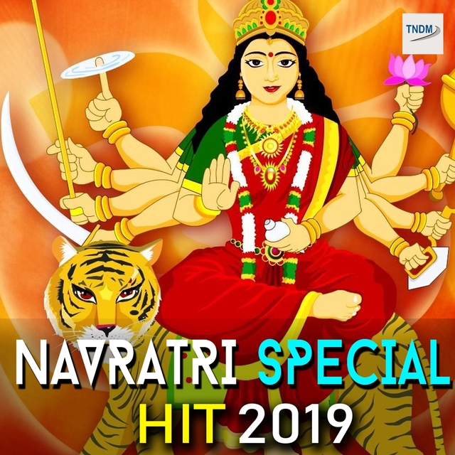 Couverture de Navratri Special Hit 2019