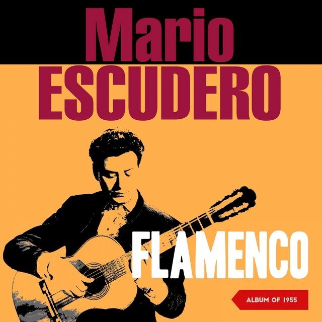 Couverture de Flamenco