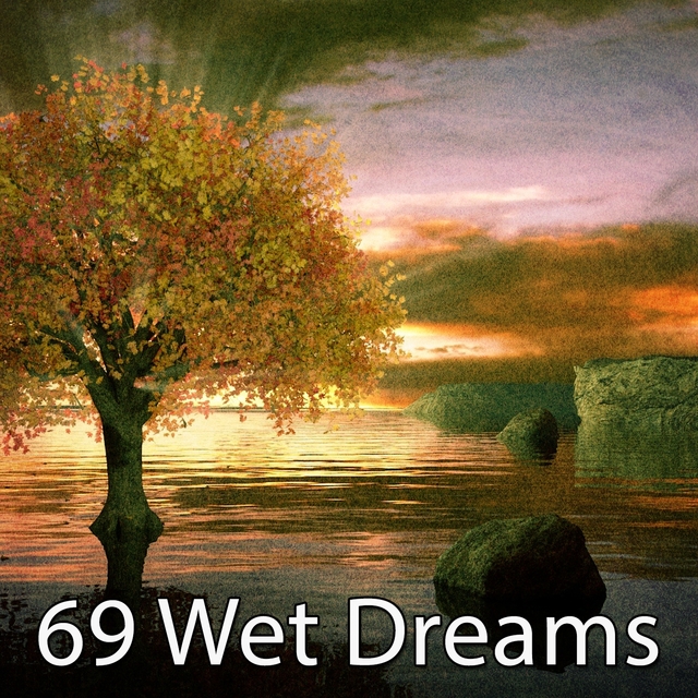 69 Wet Dreams