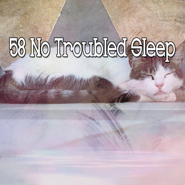Couverture de 58 No Troubled Sleep