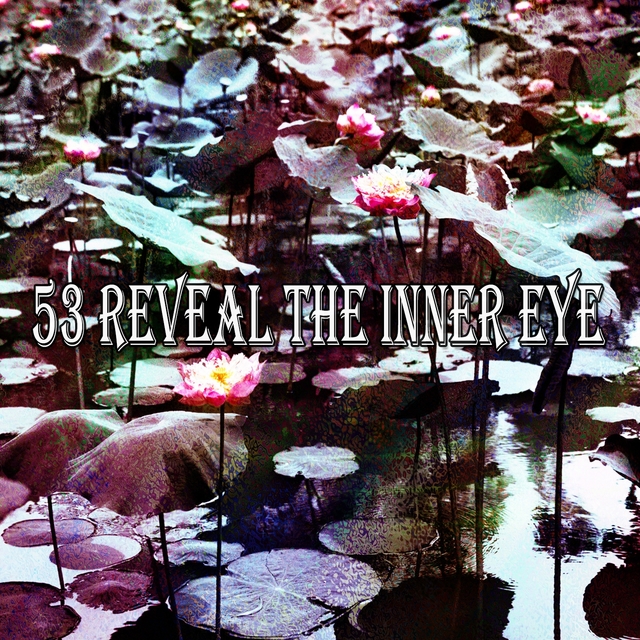 53 Reveal the Inner Eye