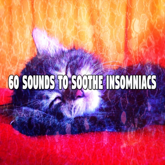 Couverture de 60 Sounds to Soothe Insomniacs