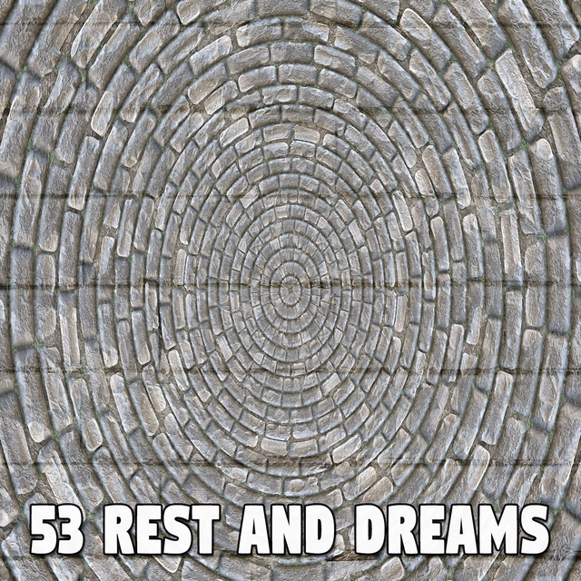 Couverture de 53 Rest and Dreams