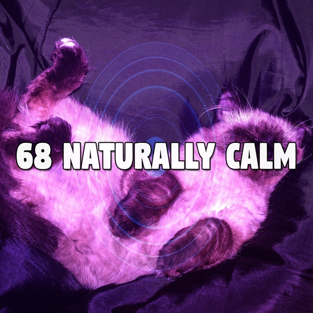 Couverture de 68 Naturally Calm