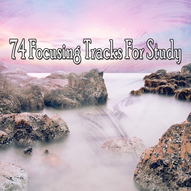 Couverture de 74 Focusing Tracks for Study