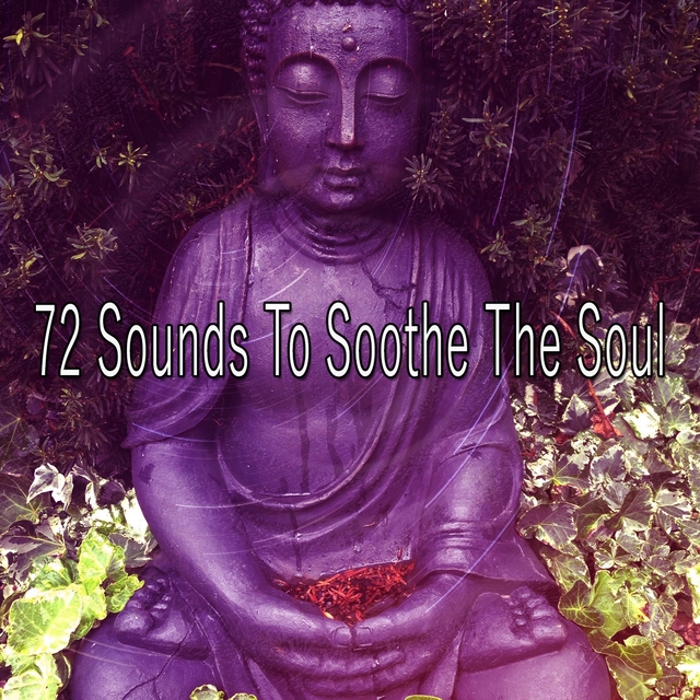 Couverture de 72 Sounds to Soothe the Soul