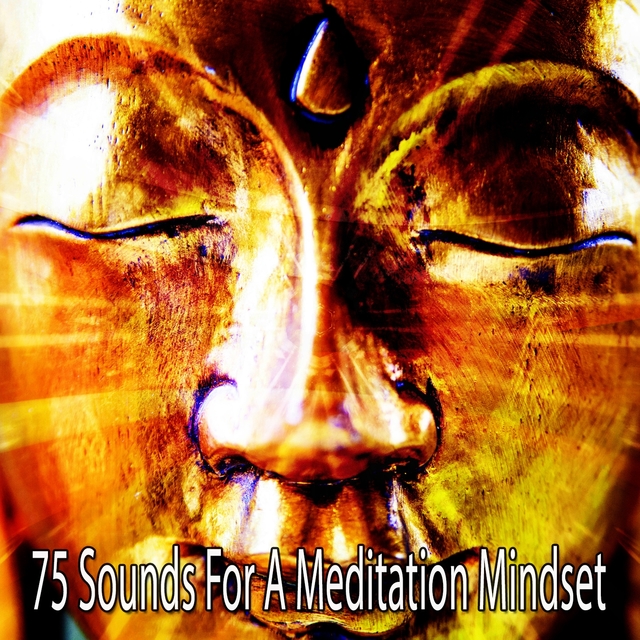 75 Sounds for a Meditation Mindset