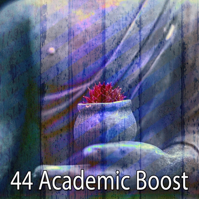 Couverture de 44 Academic Boost