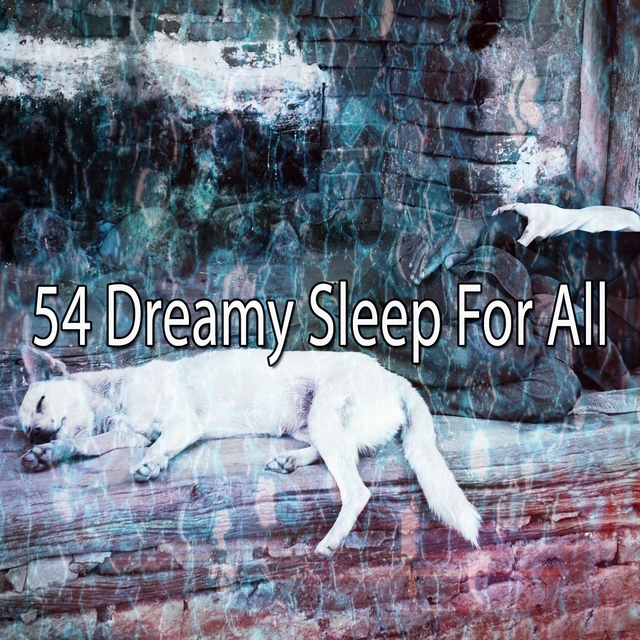 Couverture de 54 Dreamy Sleep for All