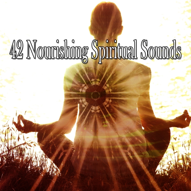 Couverture de 42 Nourishing Spiritual Sounds