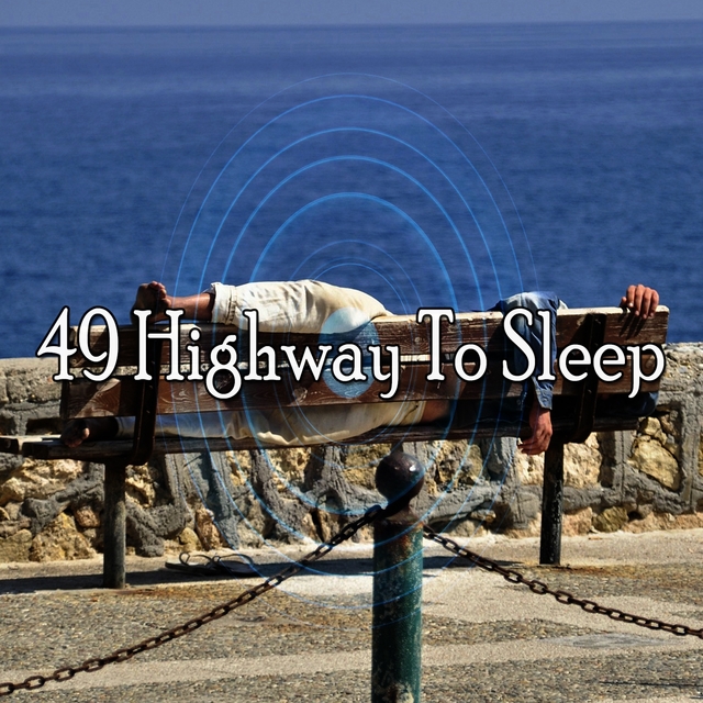 Couverture de 49 Highway to Sleep