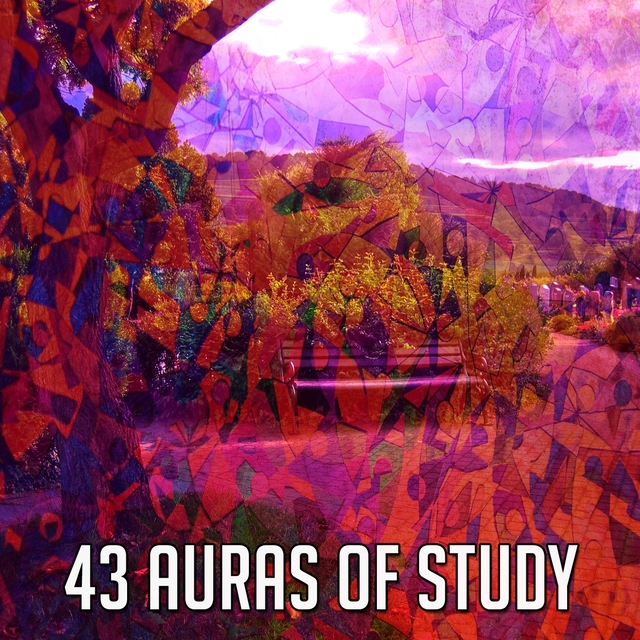 43 Auras of Study