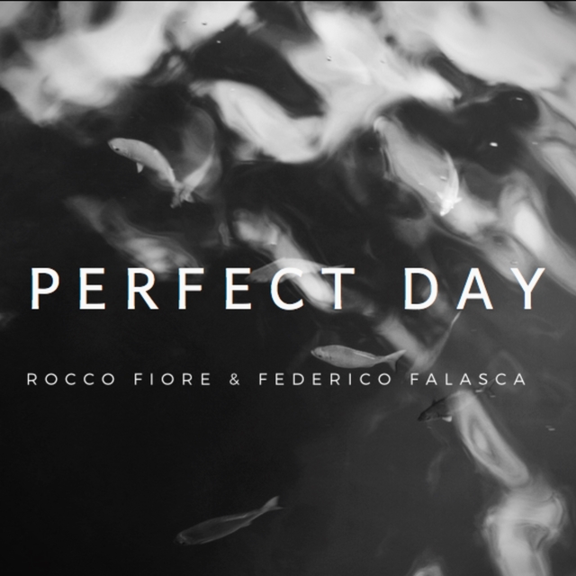 Couverture de Perfect Day