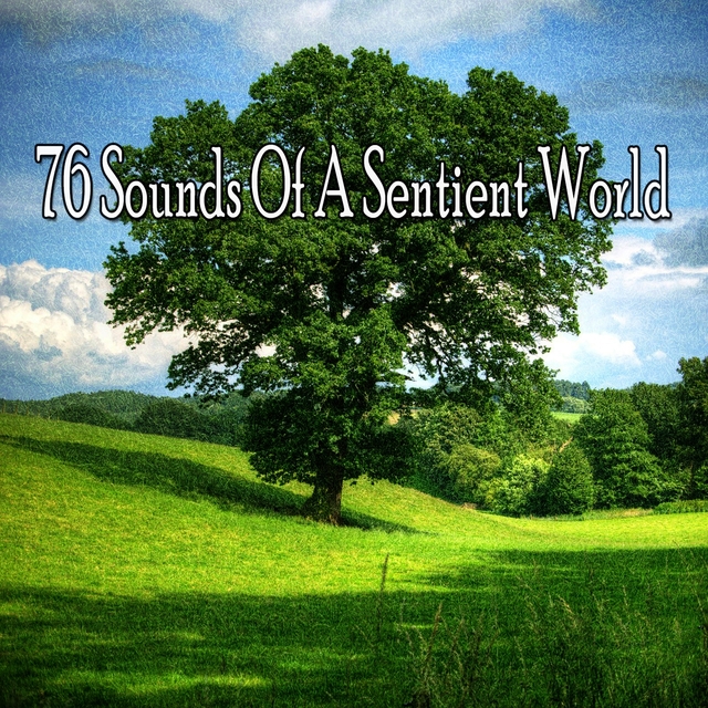 76 Sounds of a Sentient World