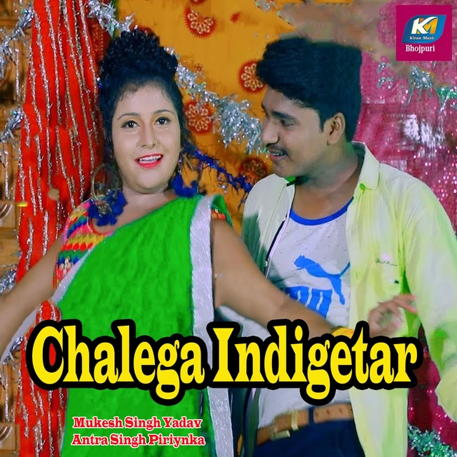 Couverture de Chalega Indigetar